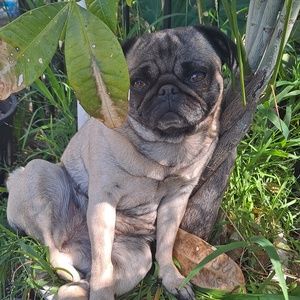 Meet your Posher, Erik